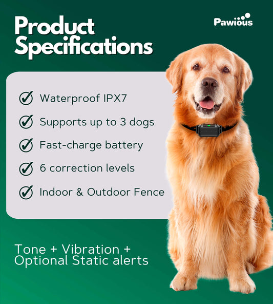 Wireless Dog Fence & Forbidden Area F900Plus - High Precision, Set for 2 Dogs, Secure Up to 1 Acre, Perfect for Homeowners