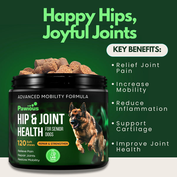 Hip and Joint Glucosamine Chews for Dogs