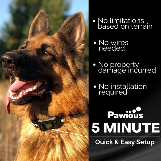 GPS Dog Fence F810+, 2nd Gen with GPS Signal Boost Chip and AI Scene Recognition
