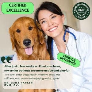 Hip and Joint Glucosamine Chews for Dogs