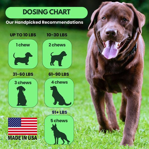 Hip and Joint Glucosamine Chews for Dogs