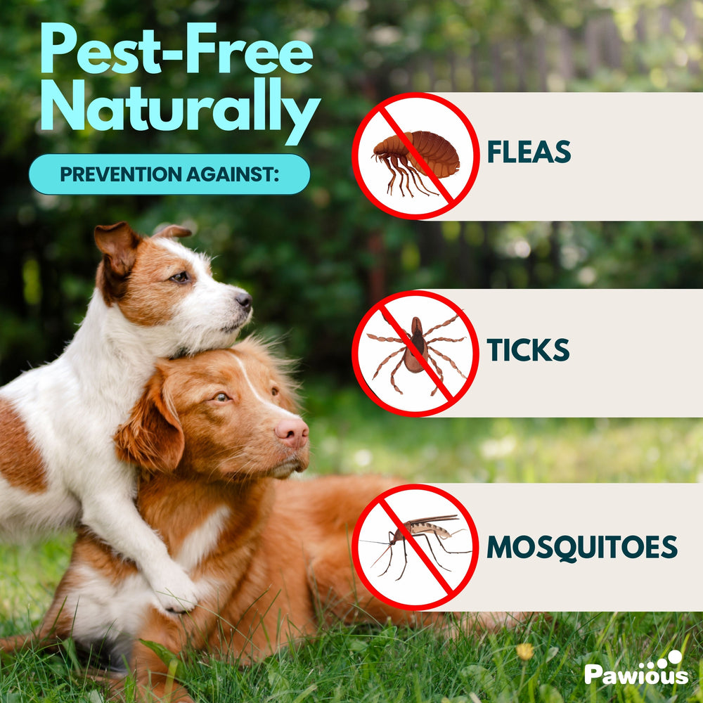 Flea and Tick Prevention for Dogs Chews - 9 oz