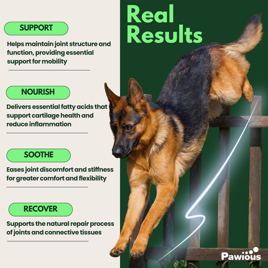 Hip and Joint Glucosamine Chews for Dogs