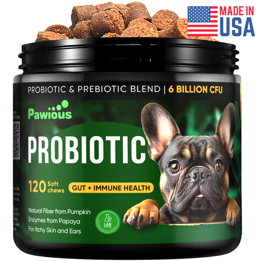 Probiotics for Dogs Itching Skin, Digestive Health, Allergies