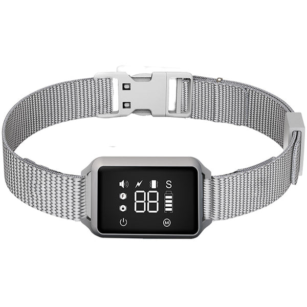 Beverly hills clearance polo smart watch