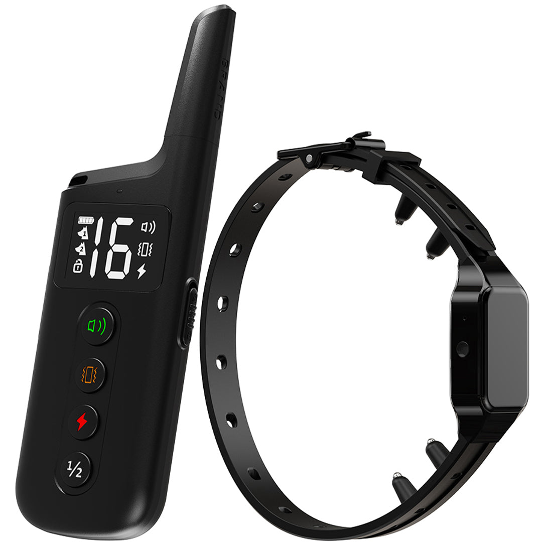 Dog Training E-Collar T330 (Waterproof) – Pawious