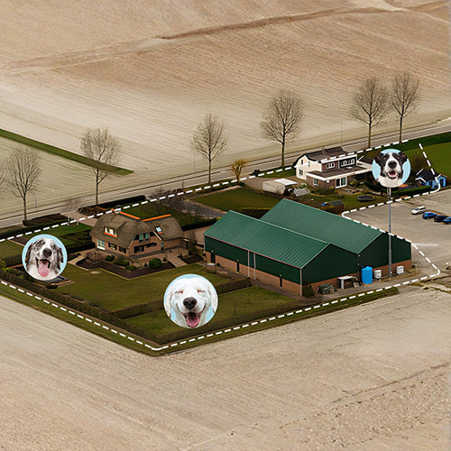 In-Ground Electric Fences