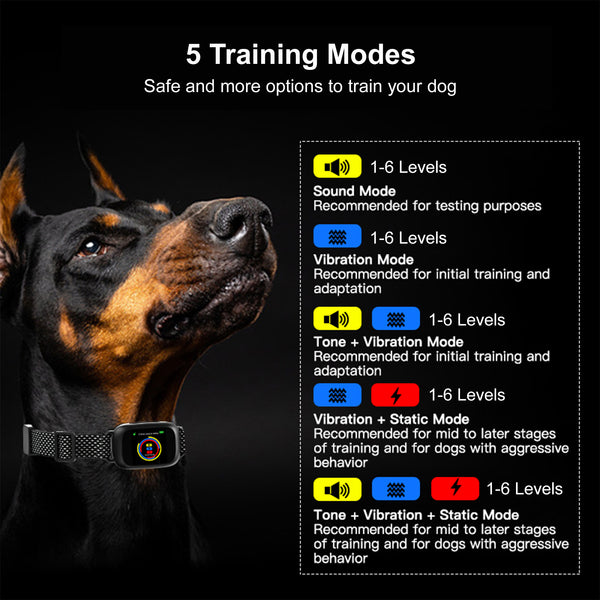 Bark Collar B630Plus - Smart Dog Bark Control