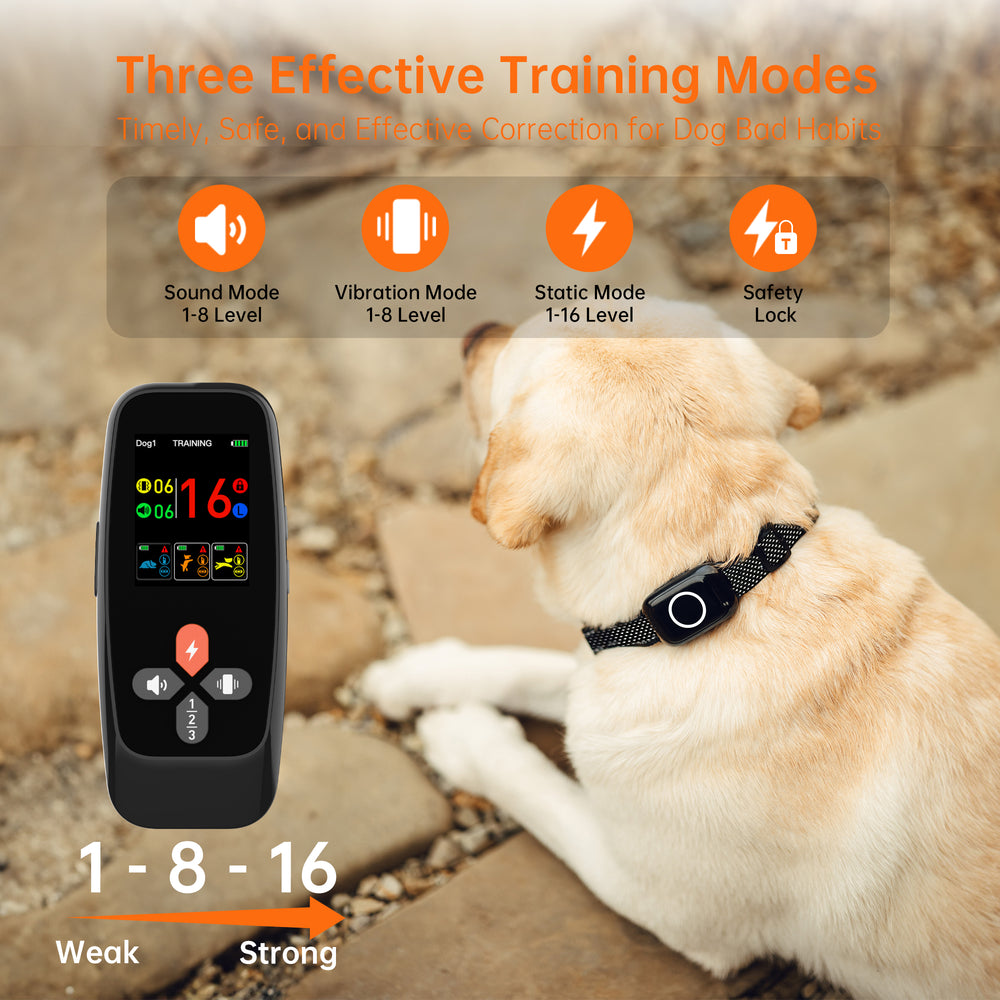 Dog Training & Bark Control Collar T800Plus