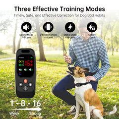 Dog Training Collar T800 2-in-1