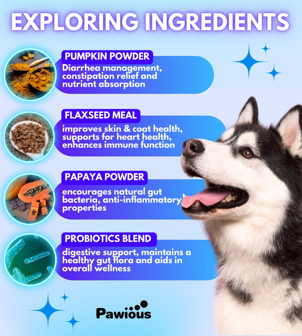 Probiotics for Dogs Itching Skin, Digestive Health, Allergies