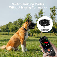 Dog Training Collar T800 2-in-1