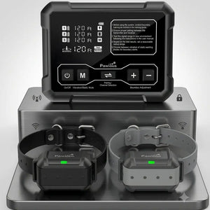 Wireless Dog Fence N5-F900 - High Precision, Secure Up to 5 Acres, Circular Boundary