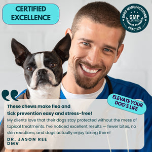 Flea and Tick Prevention for Dogs Chews - 9 oz