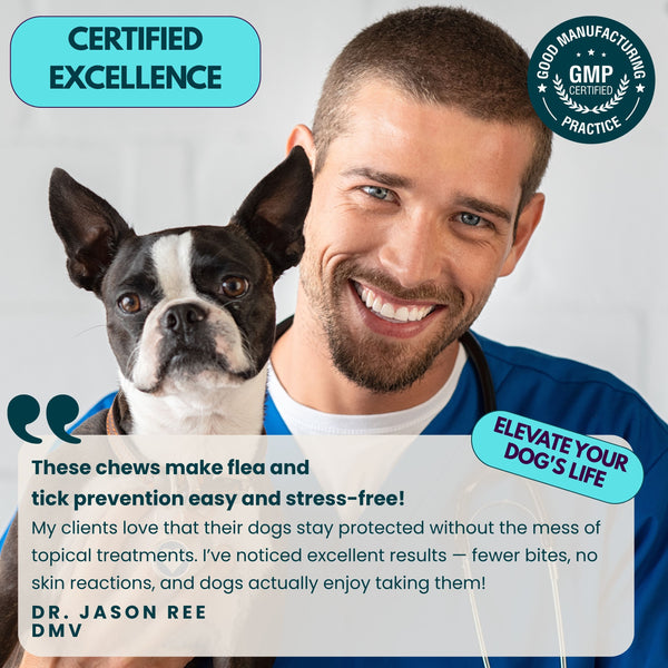 Flea and Tick Prevention for Dogs Chews - 9 oz