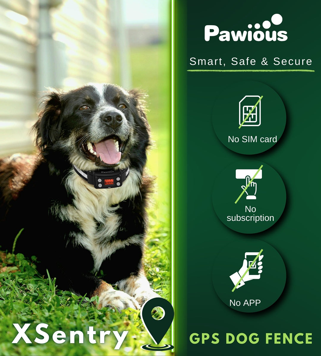 GPS Dog Fence F810+, with GPS Signal Boost Chip and AI Scene
