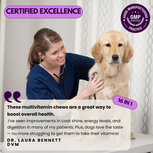 Dog Multivitamin Chewable with Glucosamine 16 in 1