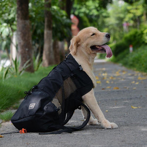 Venturepaws Ventilated Pet Adventure Backpack by Dog Hugs Cat