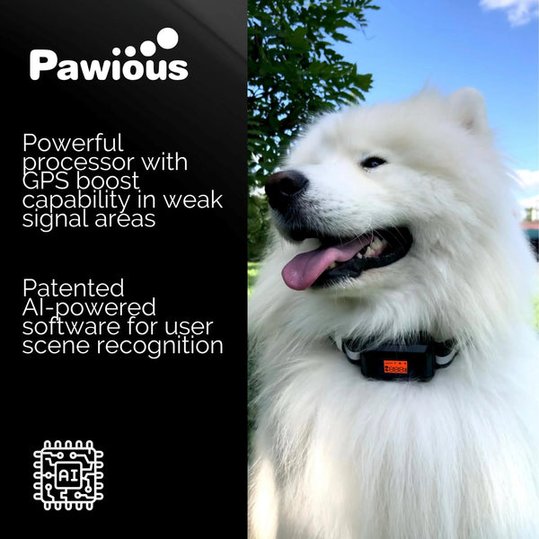 GPS Dog Fence F810+, 2nd Gen with GPS Signal Boost Chip and AI Scene Recognition