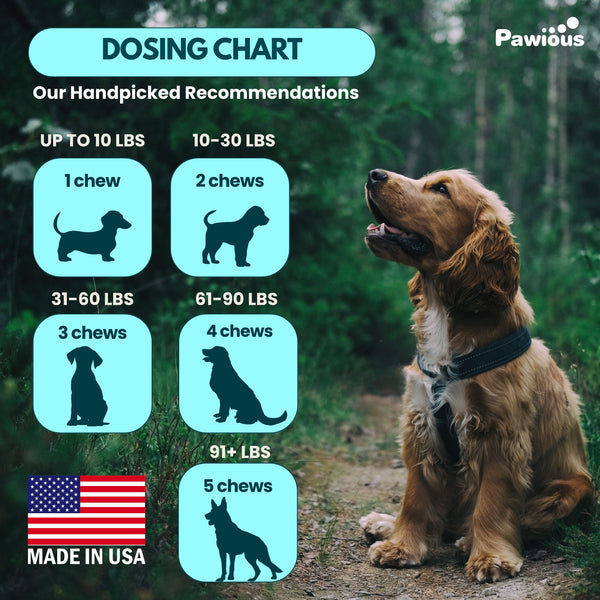Flea and Tick Prevention for Dogs Chews - 9 oz