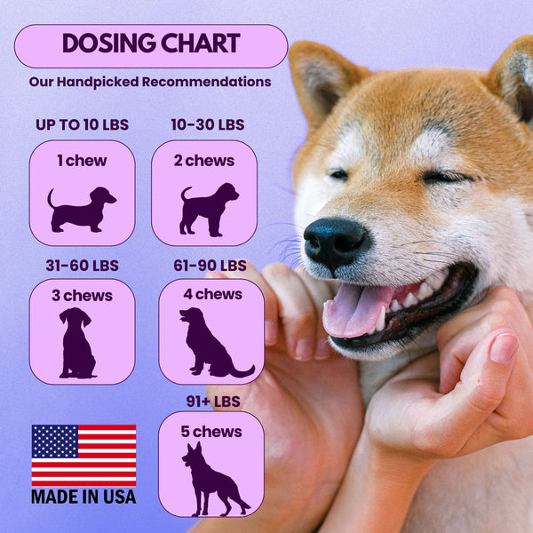 Dog Multivitamin Chewable with Glucosamine 16 in 1
