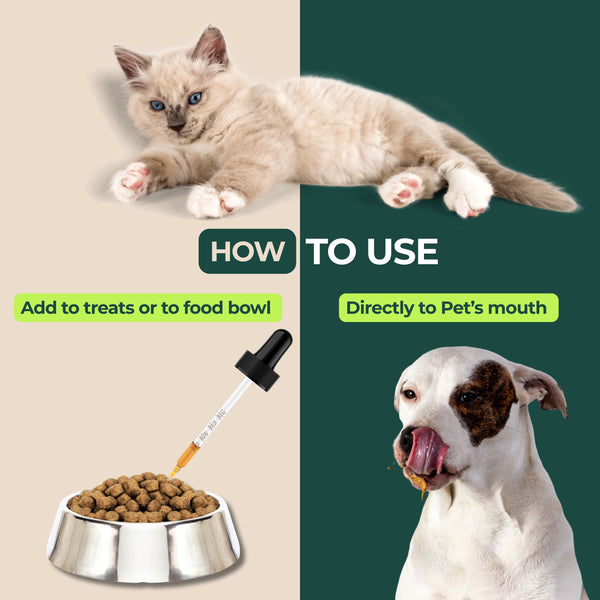 Hemp Oil for Dogs and Cats - Large 2oz Bottle