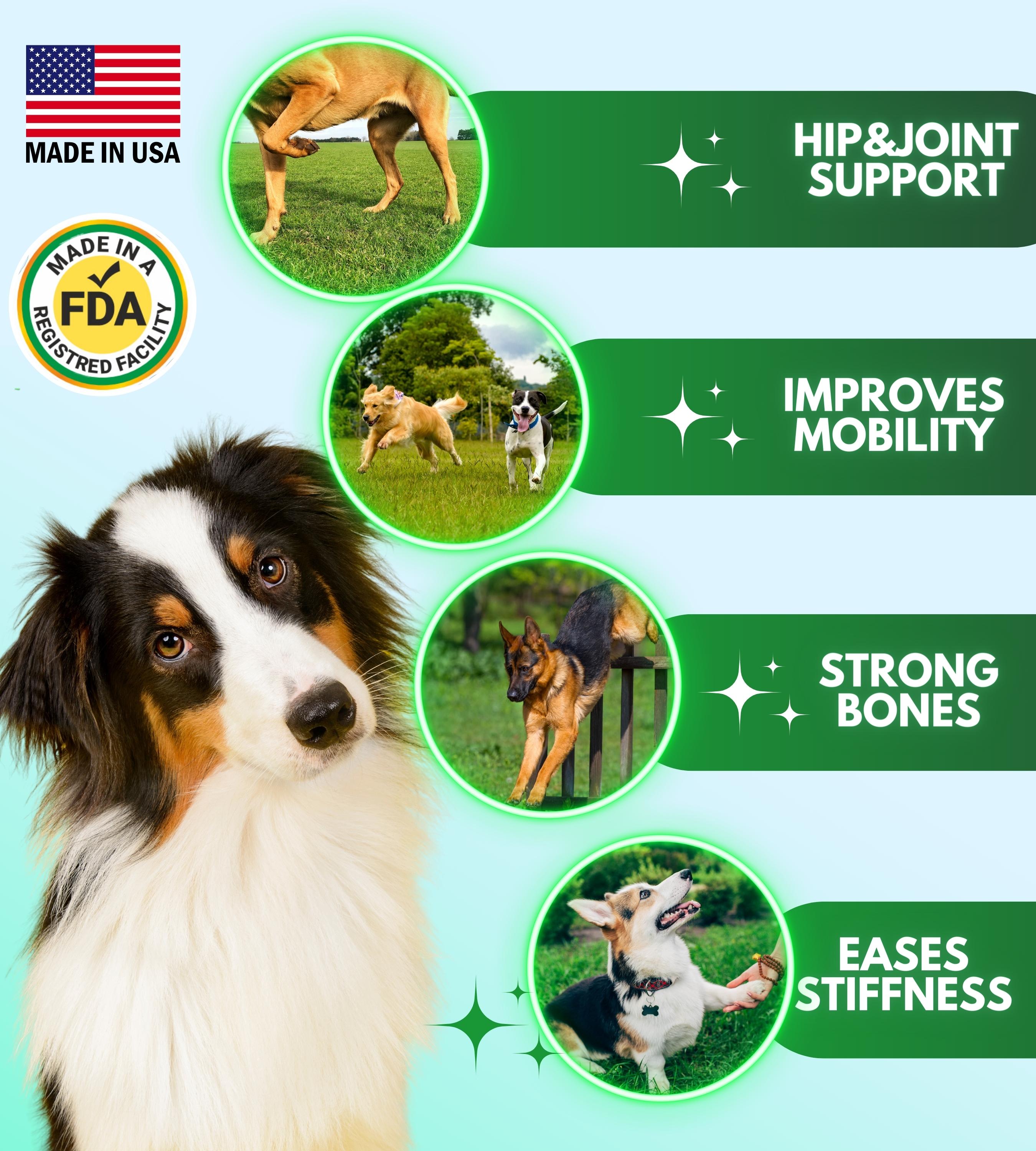 Glucosamine chews for dogs best sale