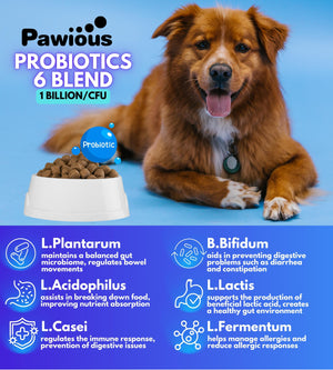 Probiotics for Dogs Itching Skin, Digestive Health, Allergies