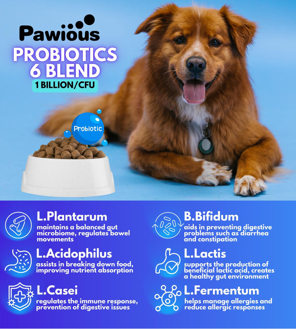 Probiotics for Dogs Itching Skin, Digestive Health, Allergies