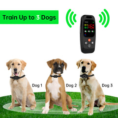 Dog Training Collar T800 2-in-1