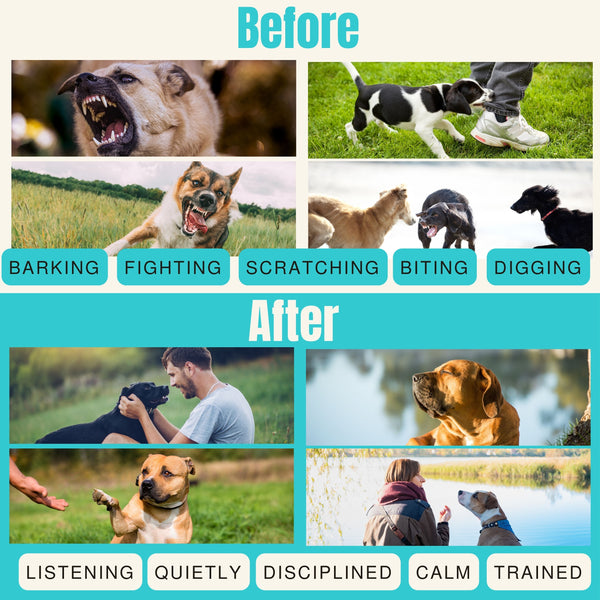 Dog Bark Deterrent U69 - Ultrasonic Dog Training Device