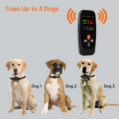 Dog Training & Bark Control Collar T800Plus