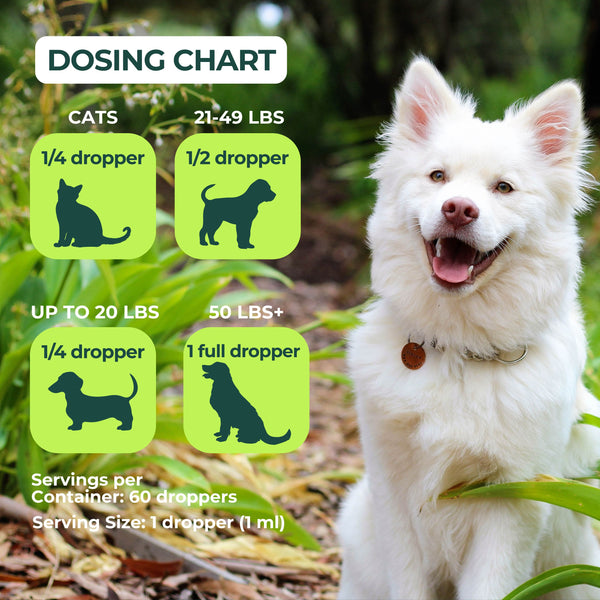 Hemp Oil for Dogs and Cats - Large 2oz Bottle