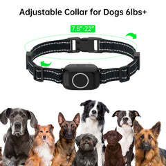 Dog Training Collar T800 2-in-1