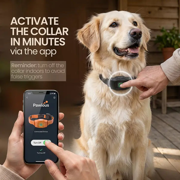 Pawious Edge™ GPS Dog Fence - Advanced Virtual Boundary System