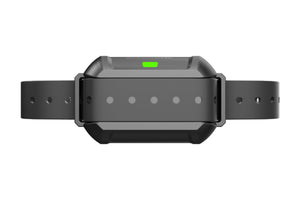 Receiver for N5-F900, N5-F900Plus and N5-F910Plus Wireless Dog Fence