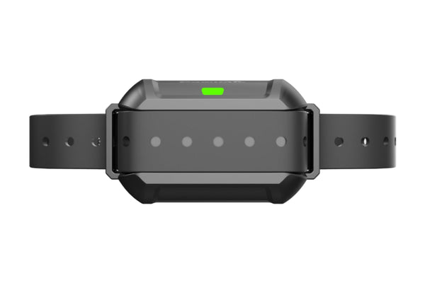 Receiver for N5-F900, N5-F900Plus and N5-F910Plus Wireless Dog Fence