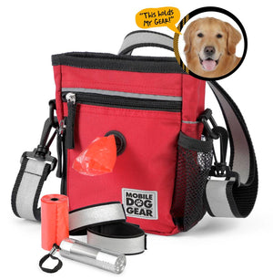 Day/Night Walking Bag (All Size Dogs) by Furr Baby Gifts