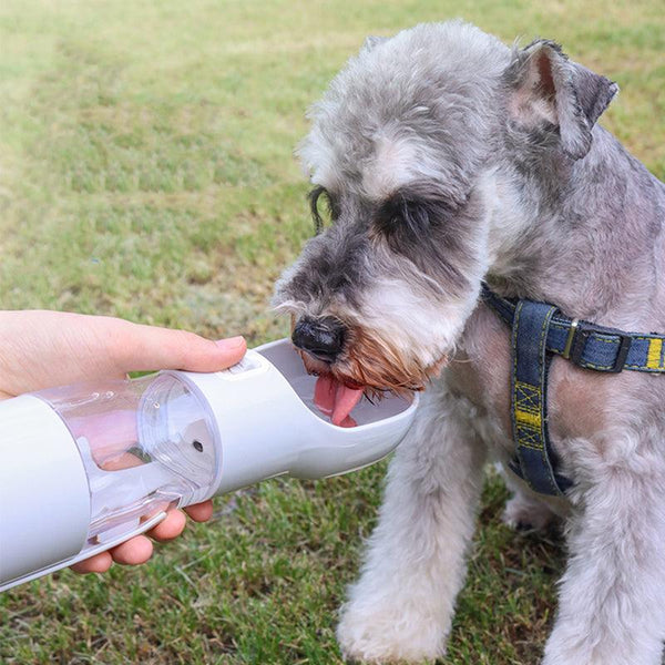 Portable Pet Companion Kit by Dog Hugs Cat