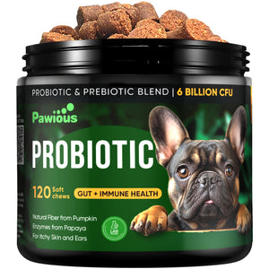 Probiotics for Dogs Itching Skin, Digestive Health, Allergies