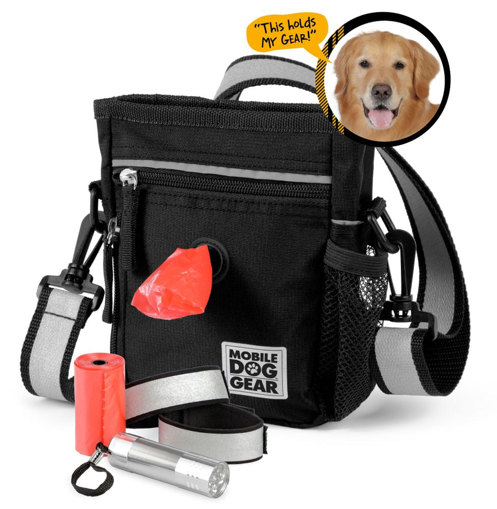 Day/Night Walking Bag (All Size Dogs) by Furr Baby Gifts