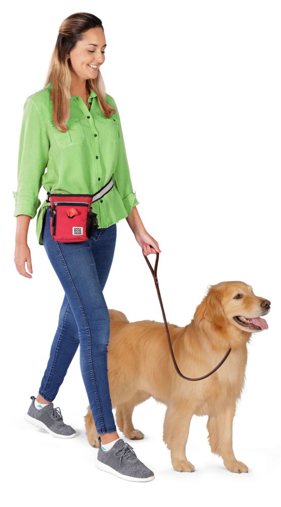 Day/Night Walking Bag (All Size Dogs) by Furr Baby Gifts