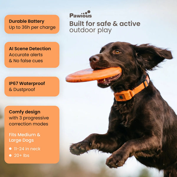 Pawious™ XEdge GPS Dog Fence - Advanced Virtual Boundary System