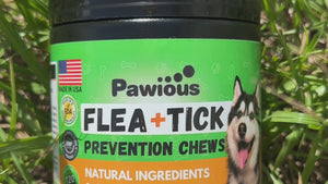 Flea and Tick Prevention for Dogs Chews - 9 oz