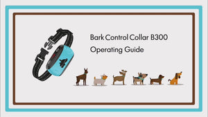 B300 Dog Bark Control Collar Yellow - Bark Control for Small Medium Large Dogs