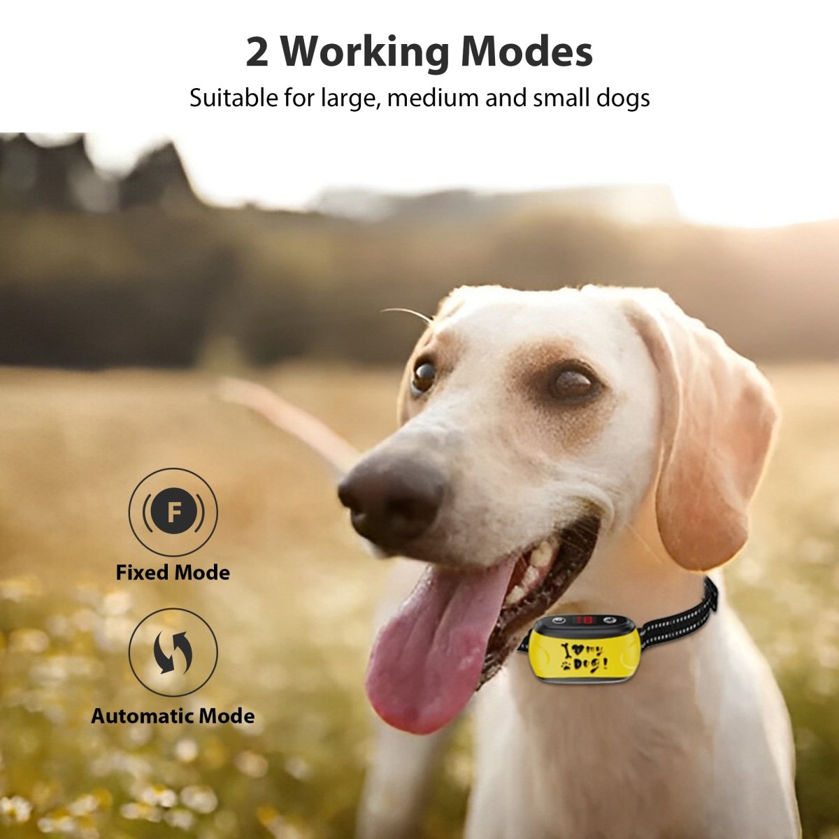 B300 Dog Bark Control Collar Yellow - Bark Control for Small Medium Large Dogs - Pawious
