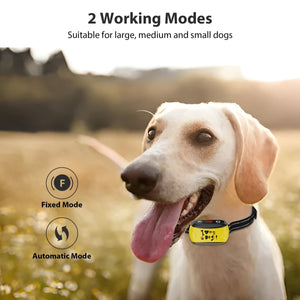 B300 Dog Bark Control Collar Yellow - Bark Control for Small Medium Large Dogs - Pawious