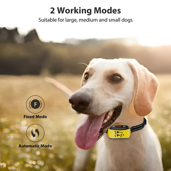 B300 Dog Bark Control Collar Yellow - Bark Control for Small Medium Large Dogs - Pawious