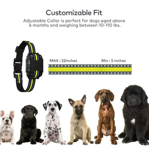 Dog Bark Collar B600, 2 pack - Rechargeable, Waterproof Anti Barking Collar - Pawious