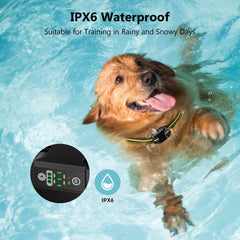 Dog Bark Collar B600 - Rechargeable, Waterproof Anti Barking Collar - Pawious